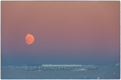Antarctica - Sunset with Moon - Canon EOS 5D III / EF 70-200mm f/2.8 L IS II USM +2.0x III
